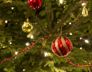Happy Holidays!
