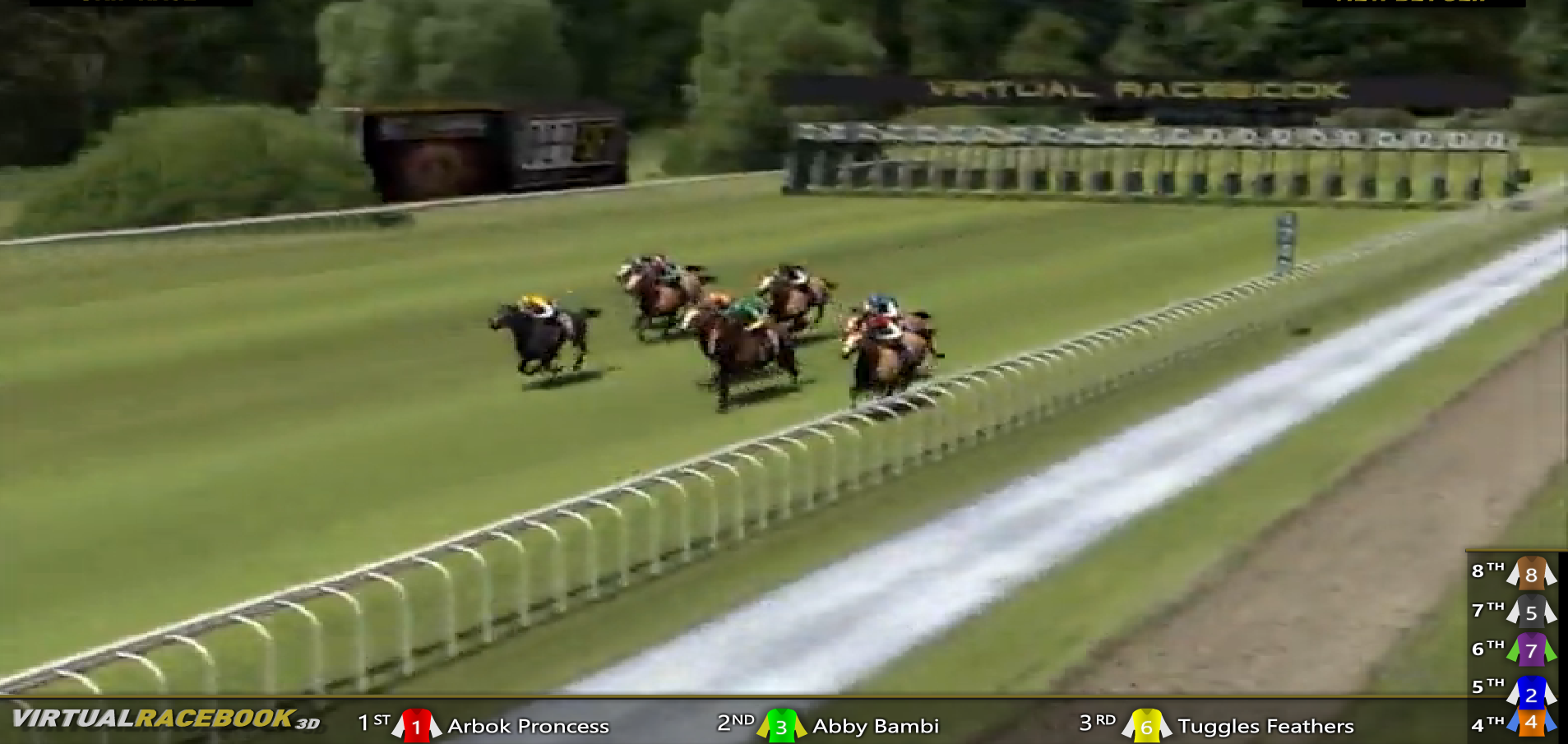 Horse racing