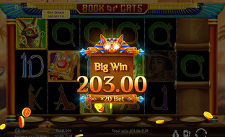 free spins book of cats slot